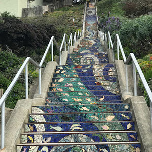 Meet your Posher, Nicky